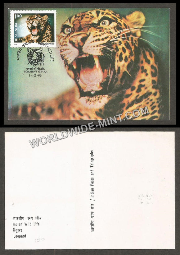 1976 Indian Wild Life - Leopard Maxim card #MC100