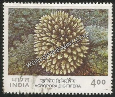 2001 Corals of India-Acropora Digitifera Used Stamp