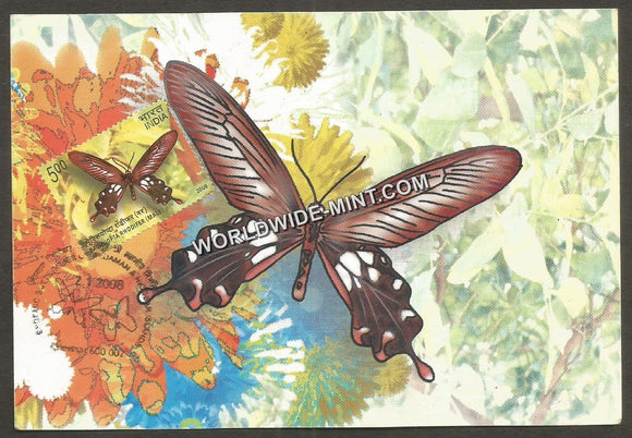2008 Pachliopta Rhodifer Male - Post Card #MC59