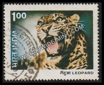 1976 Indian Wild Life-Leopard Used Stamp