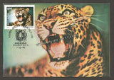1976 Indian Wild Life - Leopard Maxim card #MC100