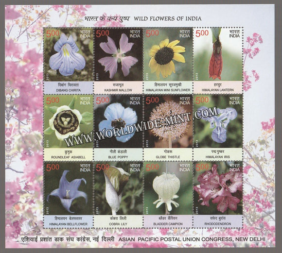 2013 INDIA Wild Flowers Sheetlet