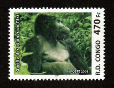 2005 Congo Gorilla 1v MNH #FT-117