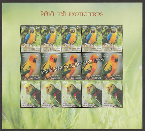 2016 INDIA Exotic Birds- Sheetlet variety 1