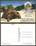 2008 Aldabra Giant Tortoise - Set of 2 Private Maxim card #MC131