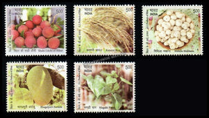 2025 INDIA G.I. Products of Bihar - Set of 5 MNH