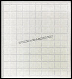 INDIA Netaji Subhas Chandra Bose 8th Series(1 00) Definitive Full Sheet of 100 Stamps MNH