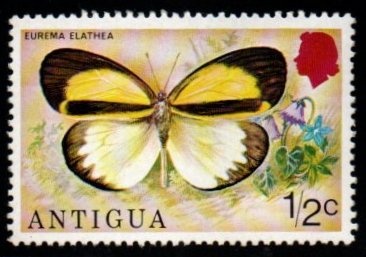 1975 Antigua Eurema Elathea Butterfly 1v MNH #FT-226