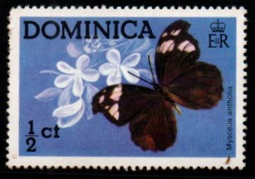 1975 Dominica Myscelia Antholia Butterfly 1v MNH #FT-255