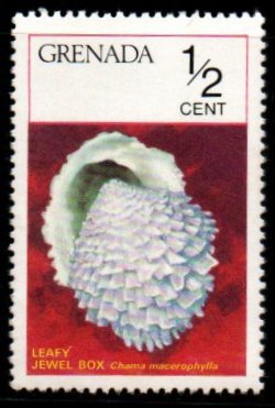 1975 Grenada Leafy Jewel Box Sea Shell 1v MNH #FT-279