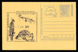 2019 Himalayan Monal Bird - Shimla Philatelic Bureau Cancelled Post Card #C-MPC-27