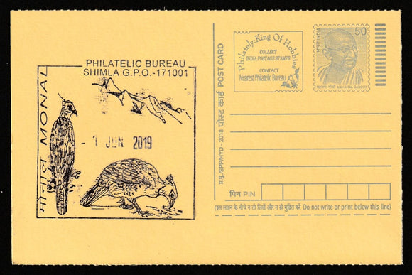 2019 Himalayan Monal Bird - Shimla Philatelic Bureau Cancelled Post Card #C-MPC-27