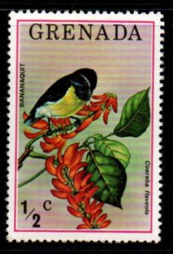 1976 Grenada Bananaquit Coereba Flaveola 1v MNH bird #FT-288