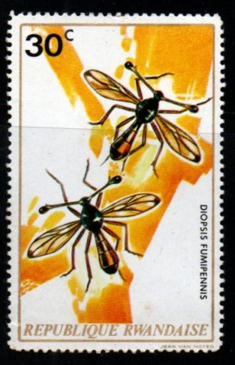Rwanda Diopsis Fumipennis (stalk-eyed flies) 1v MNH #FT-307
