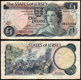 Jersey 1 Pound - 1976-1983 P# 11a Fine Bank Note N#205957 #UCN497