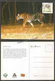 2016 Melanistic Tiger - Picture Post Card #MC50