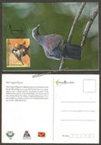 2016 Pale Capped Pigeon - Picture Post Card #MC51