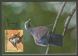 2016 Pale Capped Pigeon - Picture Post Card #MC51