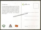 2016 The Black Buck - Picture Post Card #MC52