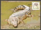 2016 Estuarine Crocodile - Picture Post Card #MC53