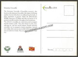 2016 Estuarine Crocodile - Picture Post Card #MC53