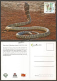 2016 King cobra - Picture Post Card #MC54