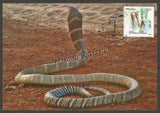 2016 King cobra - Picture Post Card #MC54