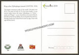 2016 King cobra - Picture Post Card #MC54