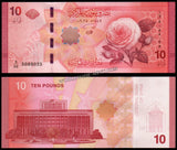 Syria 10, 25, 50, 100, 200 & 500 Pounds - 2025 Set of 6 UNC Banknote N#548854