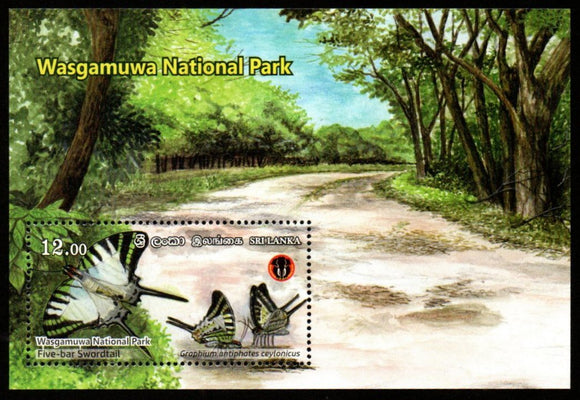 2019 Sri Lanka Wasgamuwa National Park Butterfly MS #S-65a