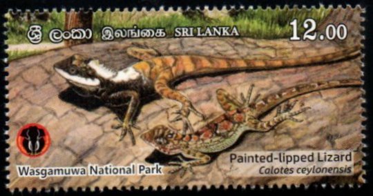 2019 Sri Lanka Wasgamuwa National Park - Painted lipped Lizard 1v MNH #S-66