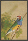 19781 Jagadhri Utensils Industry Private Picture Post card #MC85