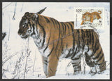 1993 Russia Tiger Set of 4 WWF Official Maxim card #FE260