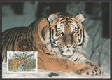 1993 Russia Tiger Set of 4 WWF Official Maxim card #FE260