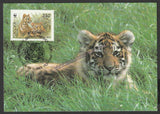 1993 Russia Tiger Set of 4 WWF Official Maxim card #FE260