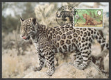 1983 Belize Jaguar Set of 4  WWF Official Maxim card #FE262