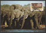 1991 Uganda African Elephant Set of 4 WWF Official Maxim card #FE263