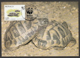 1991 Monaco Tortoise Set of 4 WWF Official Maxim card #FE264