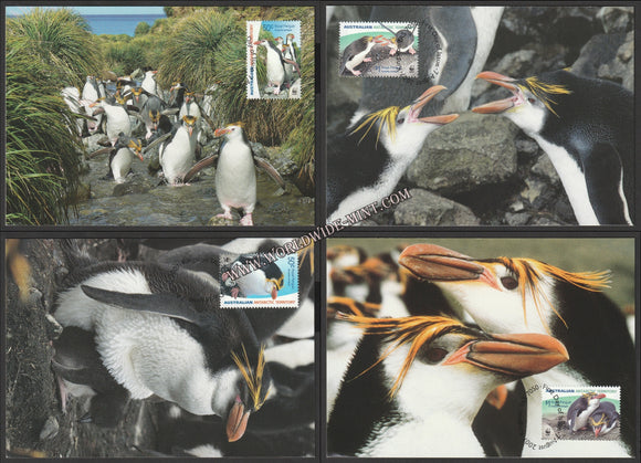 2007 Australian Antarctic Territory Penguin Set of 4 Maxim card #FE257