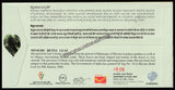 2022 Mysore Betel Leaf Geographical Indication GI Tag No: 34 Special Cover (20.03.2022) #SC-75