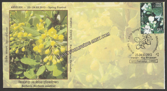 2013 Berberis (Berberis Asiatica) Special Cover #SPL-602