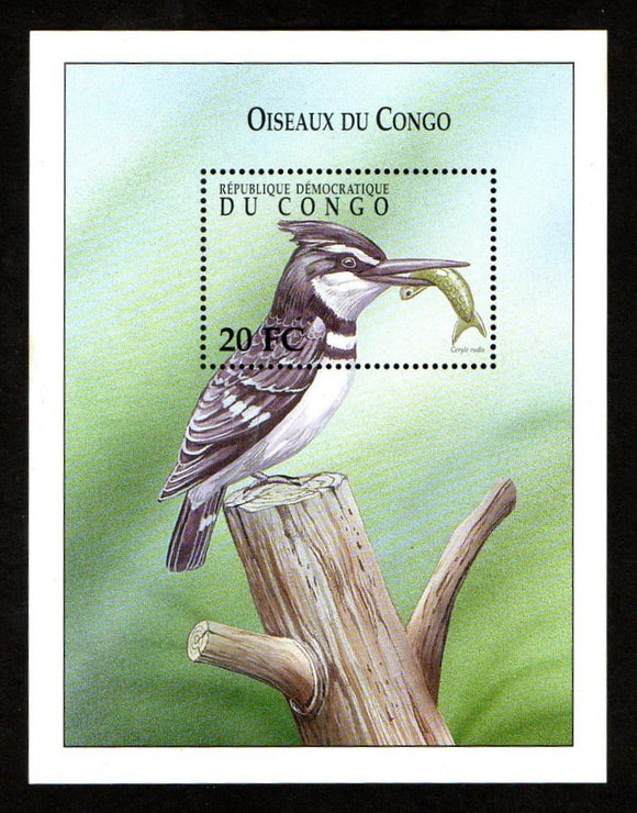 2000 Congo King Fisher Bird MS #COD-12