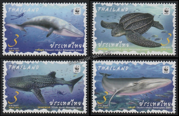 2019 Thailand Preserved Wild Animal - Marine Life Set of 4 #TH-1150