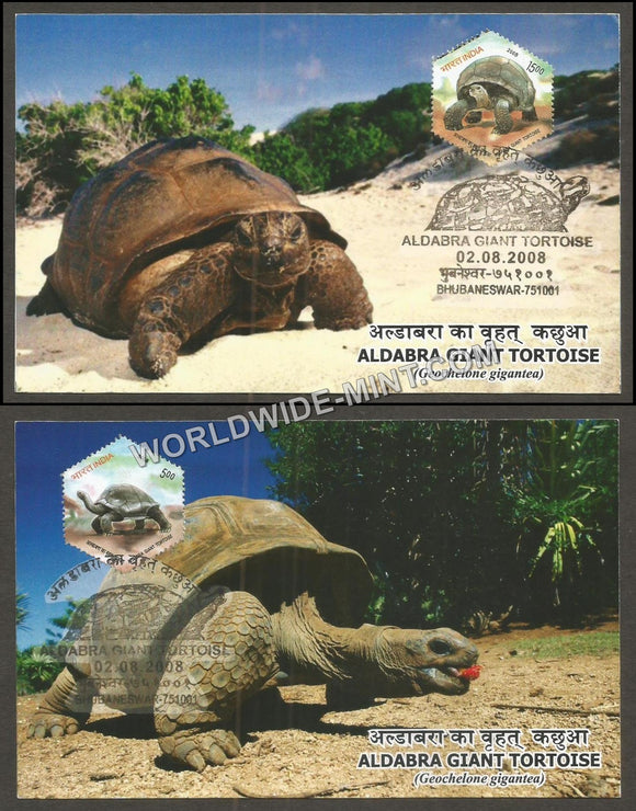 2008 Aldabra Giant Tortoise Set of 2 Private Maxim card #MC131