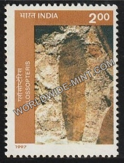 1997 Birbal Sahni Inst. of Palaeobotany, Fossils-Glossopteris MNH