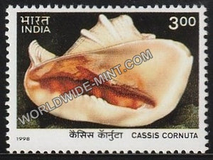 1998 Sea Shells-Cassis cornuta- Horned Helmet MNH