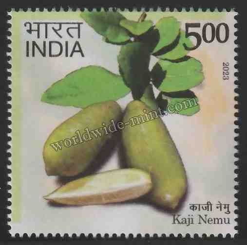 2023 INDIA Geographical Indications: Agricultural Goods - Kaji Nemu MNH