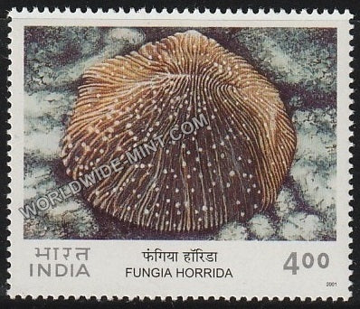 2001 Corals of India-Fungia Horrida MNH