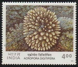 2001 Corals of India-Acropora Digitifera MNH
