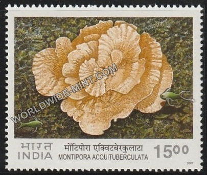 2001 Corals of India-Montipora Acquituberculata MNH